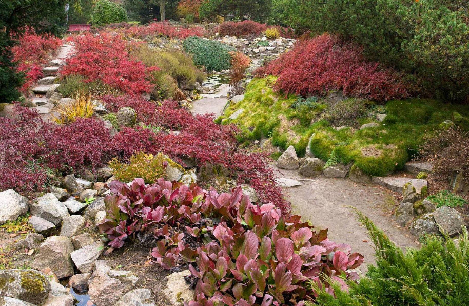 Arboretum SGGW w Rogowie, Poland, Poland